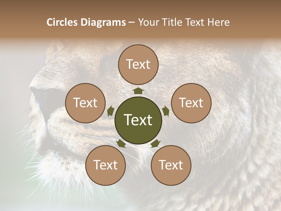 Leo Lioness PowerPoint Template