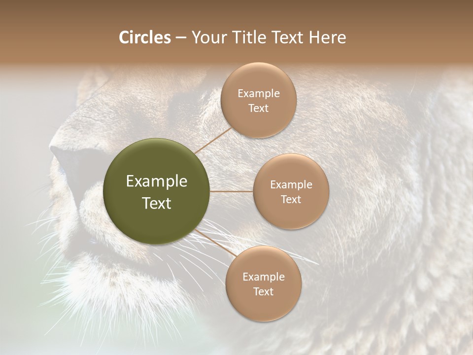 Leo Lioness PowerPoint Template