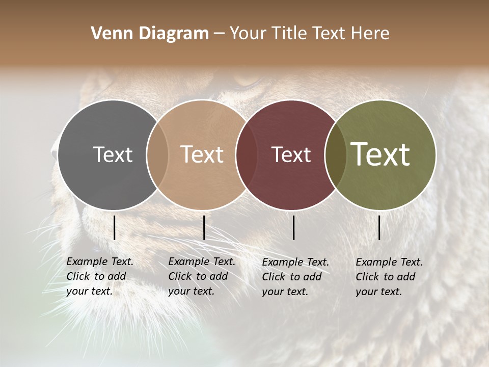 Leo Lioness PowerPoint Template