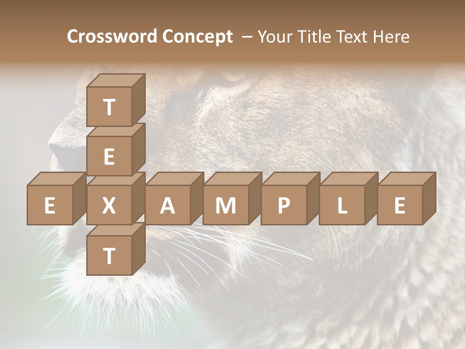 Leo Lioness PowerPoint Template