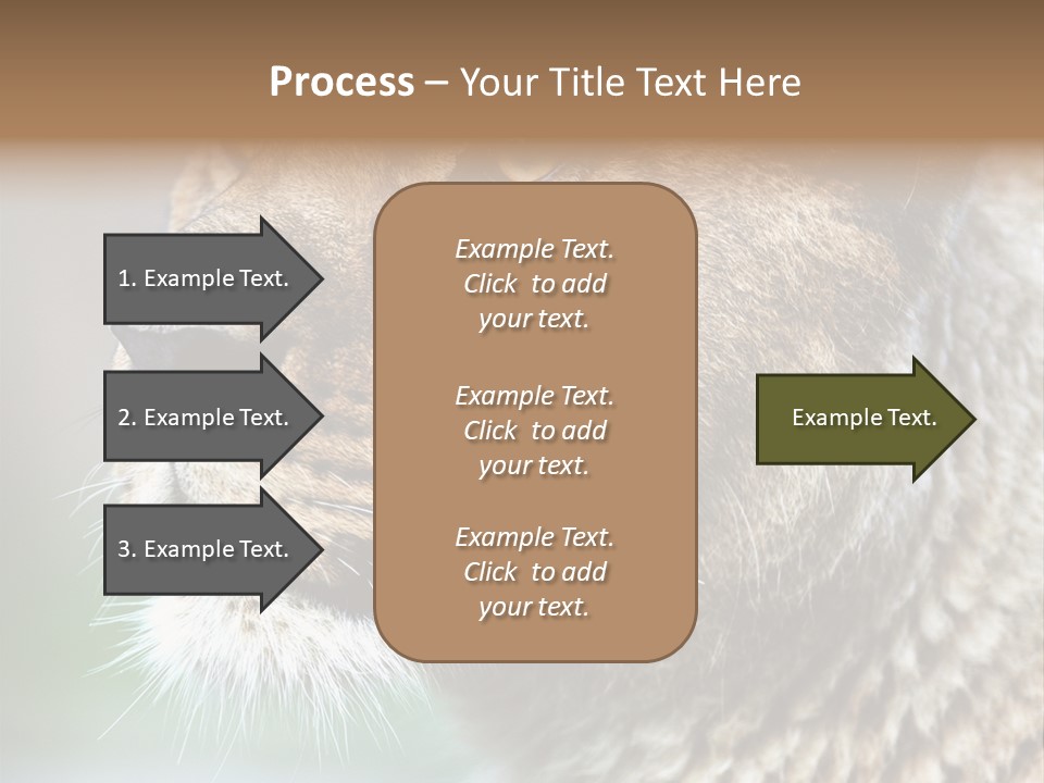 Leo Lioness PowerPoint Template