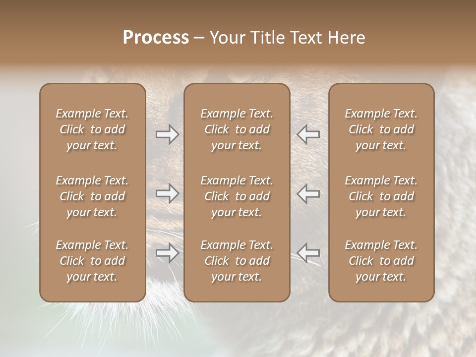 Leo Lioness PowerPoint Template