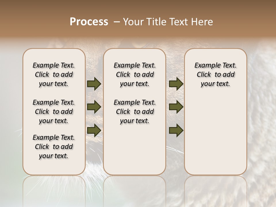 Leo Lioness PowerPoint Template