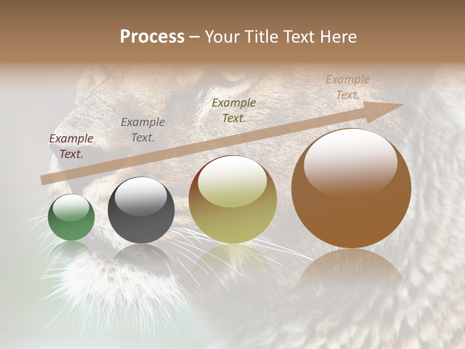 Leo Lioness PowerPoint Template