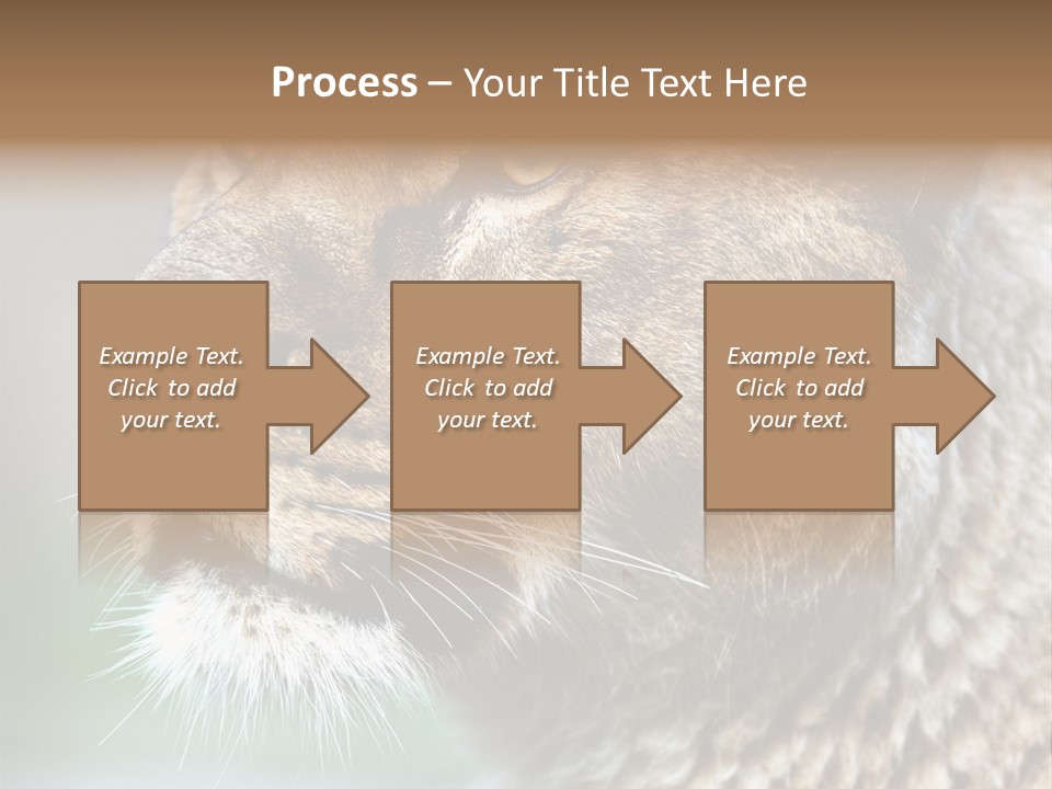 Leo Lioness PowerPoint Template