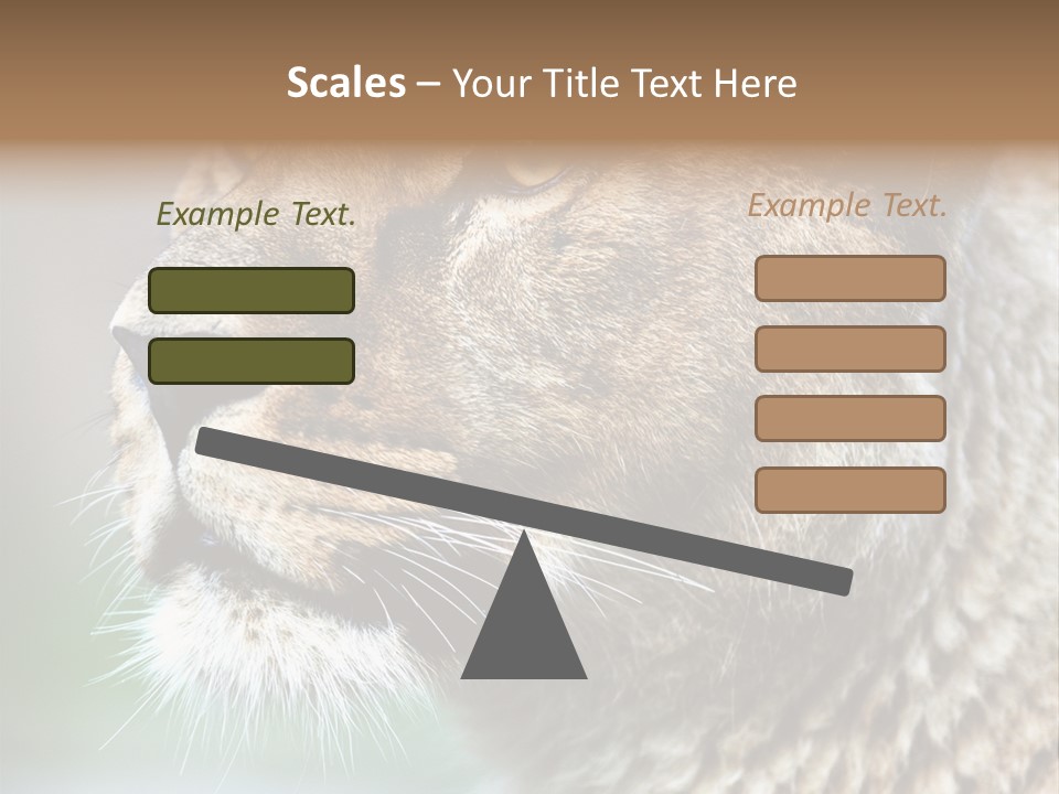 Leo Lioness PowerPoint Template