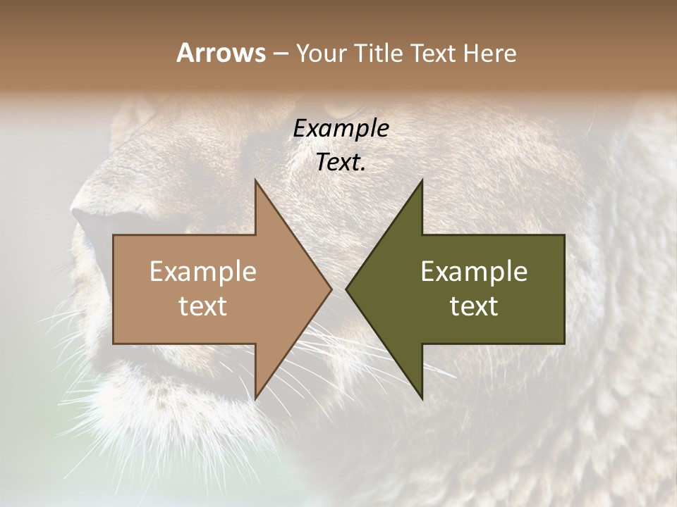 Leo Lioness PowerPoint Template