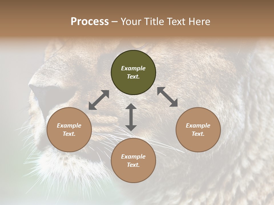 Leo Lioness PowerPoint Template