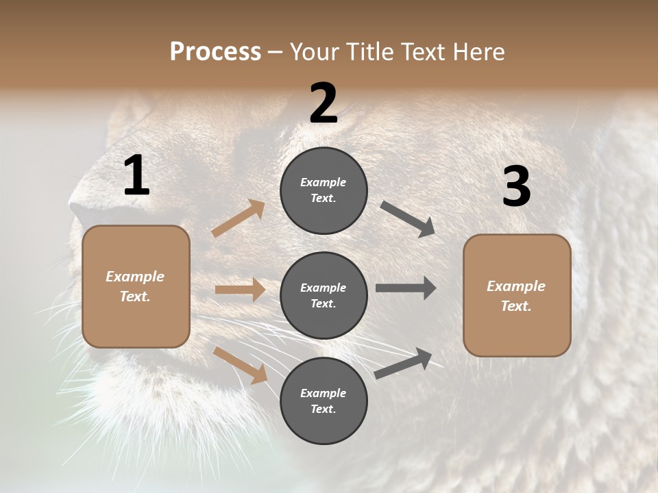 Leo Lioness PowerPoint Template