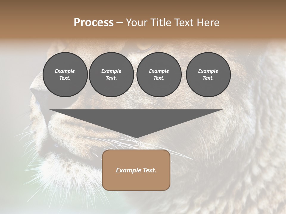 Leo Lioness PowerPoint Template