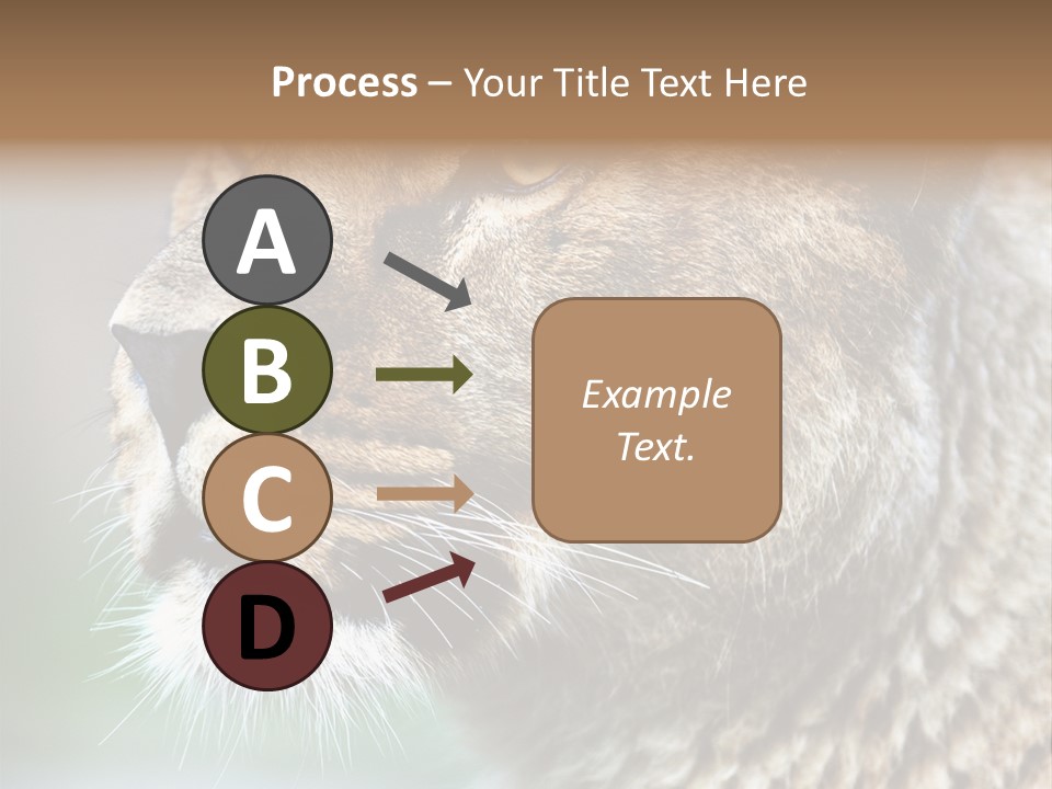 Leo Lioness PowerPoint Template
