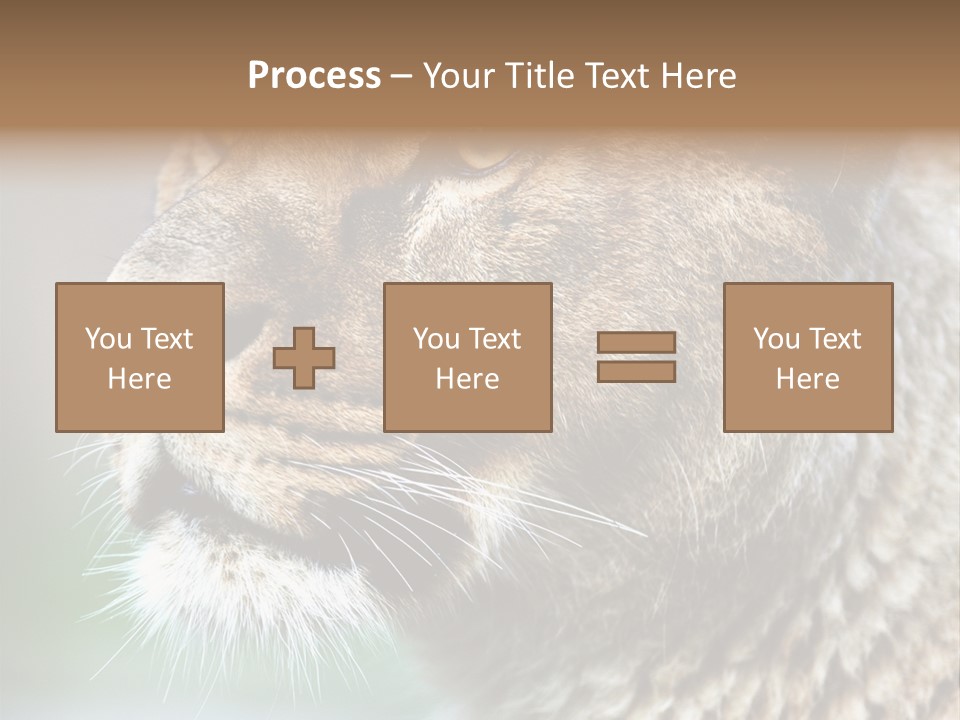 Leo Lioness PowerPoint Template