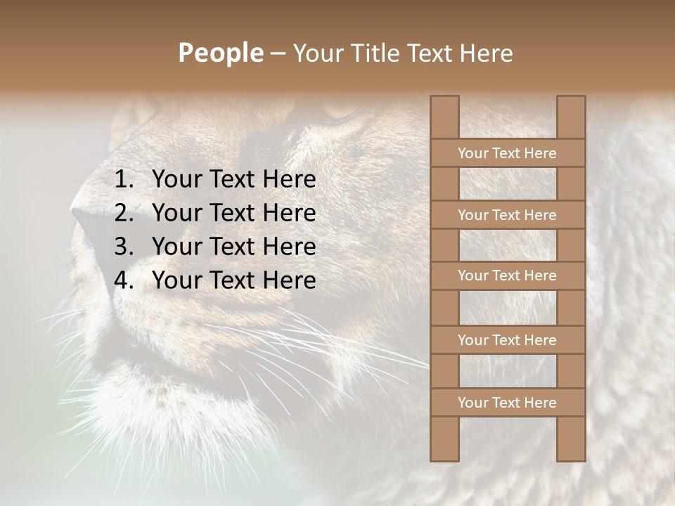 Leo Lioness PowerPoint Template