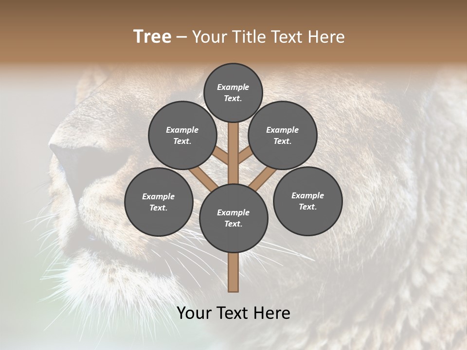 Leo Lioness PowerPoint Template