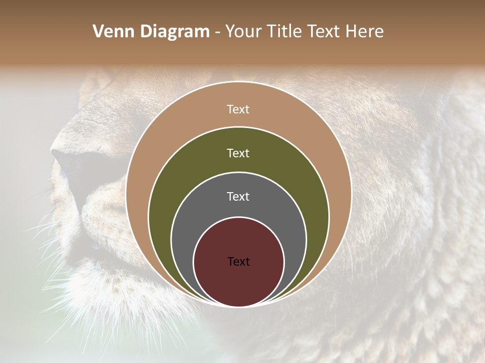 Leo Lioness PowerPoint Template