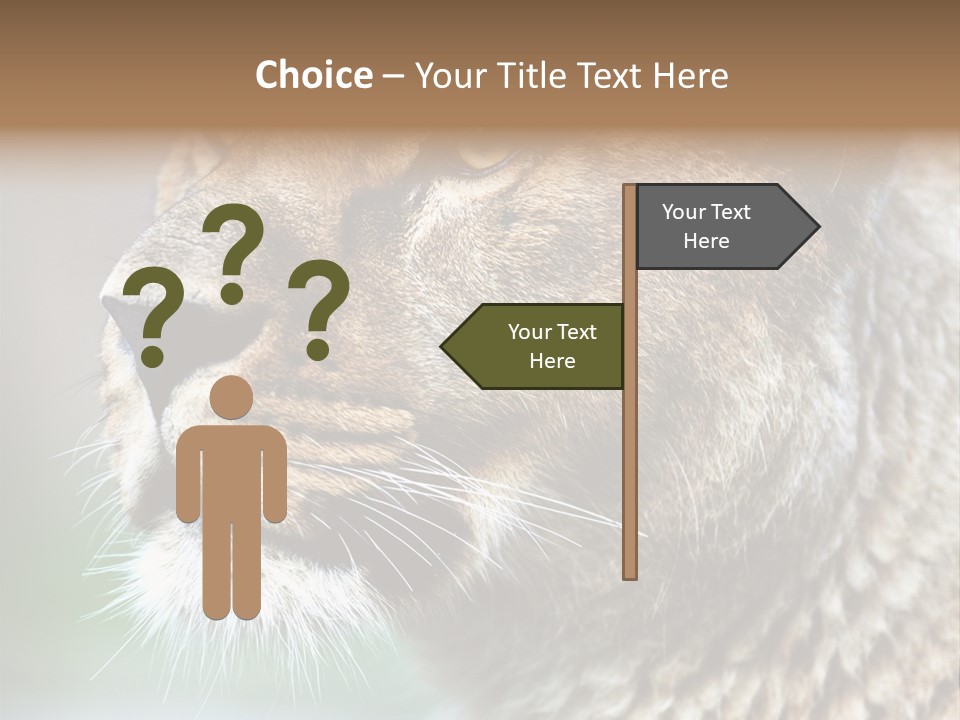 Leo Lioness PowerPoint Template