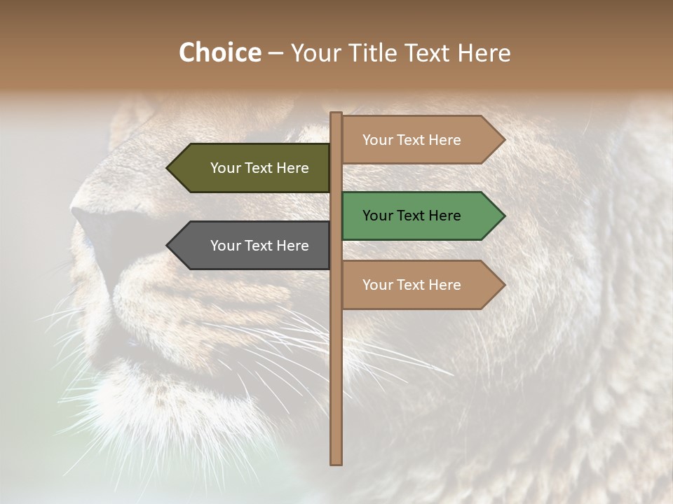 Leo Lioness PowerPoint Template