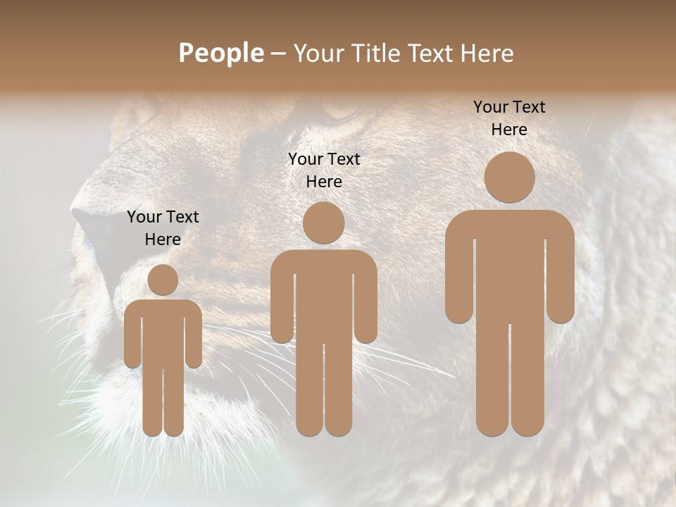 Leo Lioness PowerPoint Template