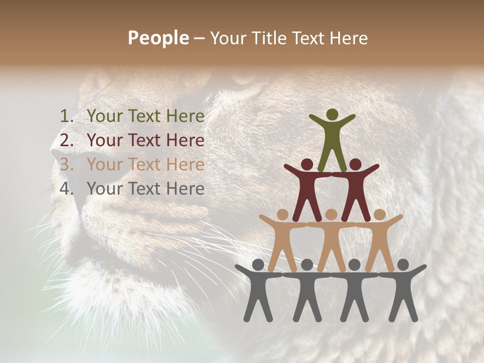 Leo Lioness PowerPoint Template