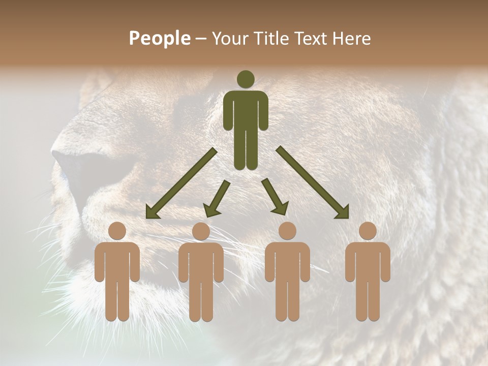 Leo Lioness PowerPoint Template