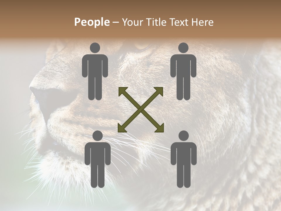 Leo Lioness PowerPoint Template