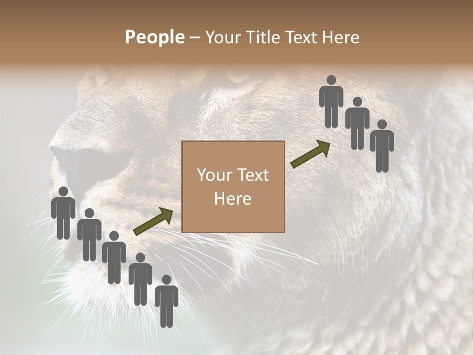 Leo Lioness PowerPoint Template