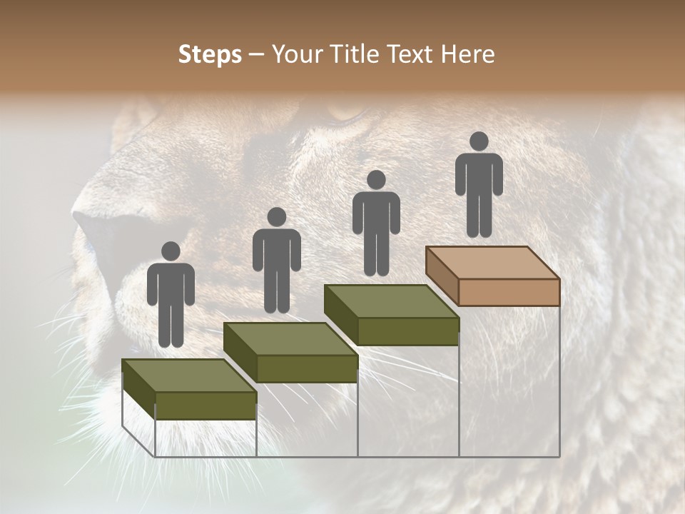 Leo Lioness PowerPoint Template