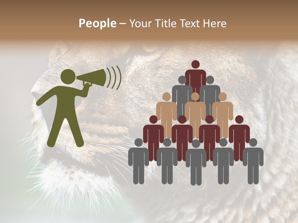 Leo Lioness PowerPoint Template