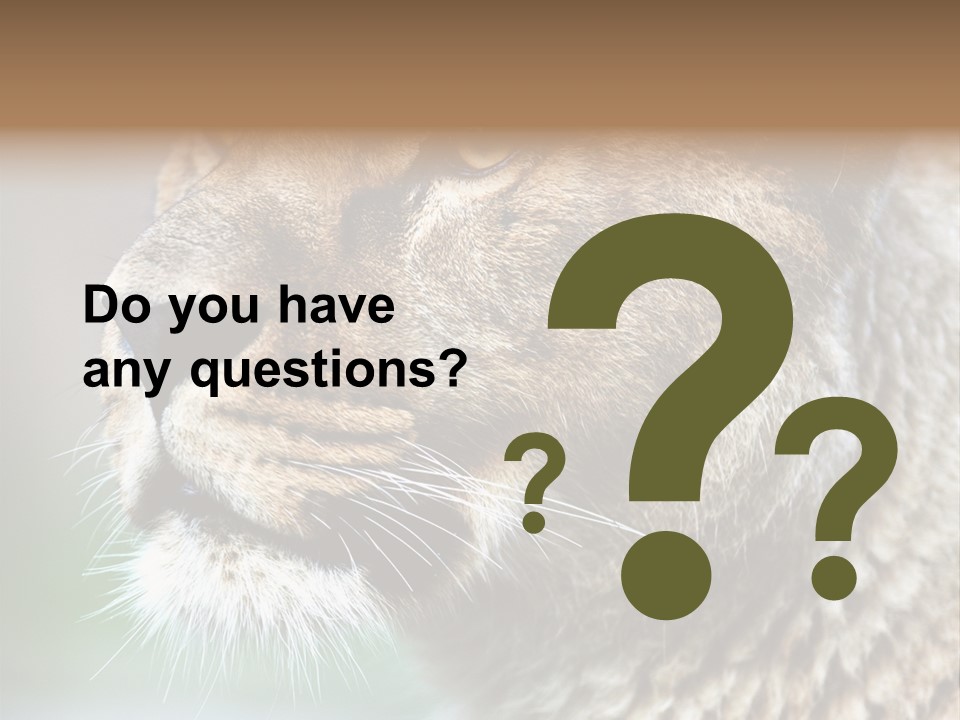 Leo Lioness PowerPoint Template