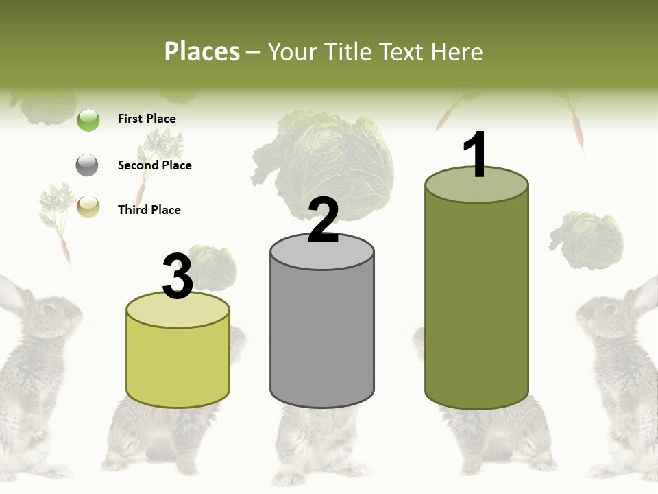 Rabbit PowerPoint Template