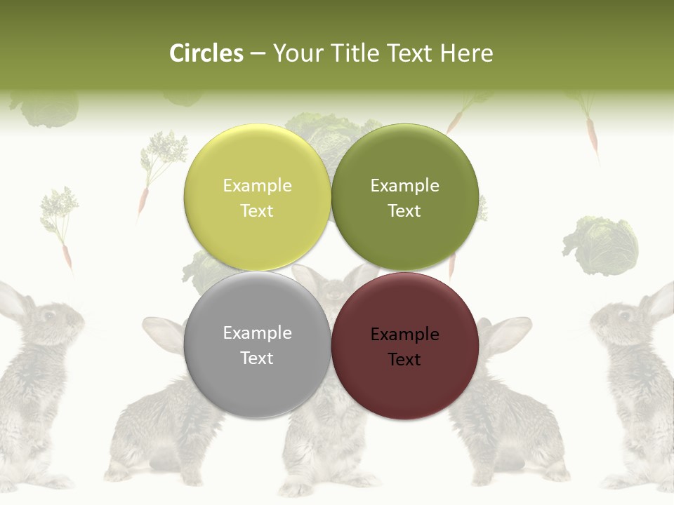 Rabbit PowerPoint Template