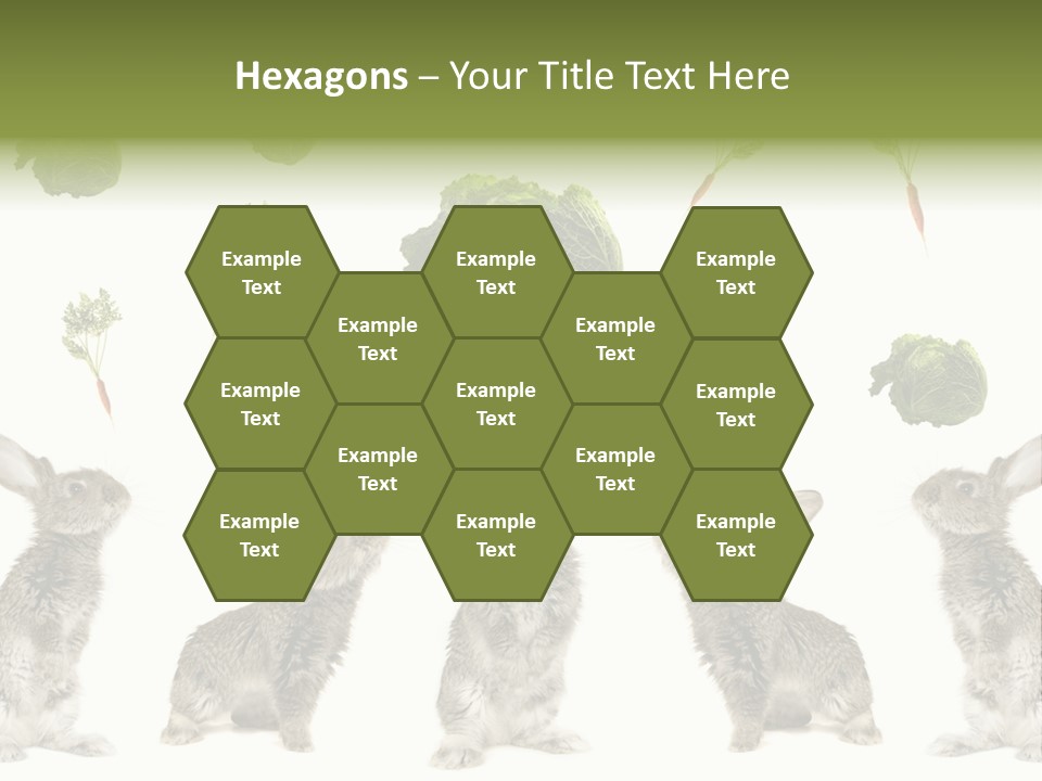 Rabbit PowerPoint Template