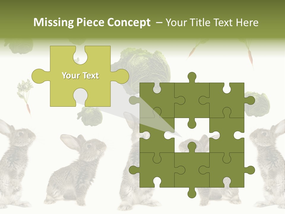 Rabbit PowerPoint Template