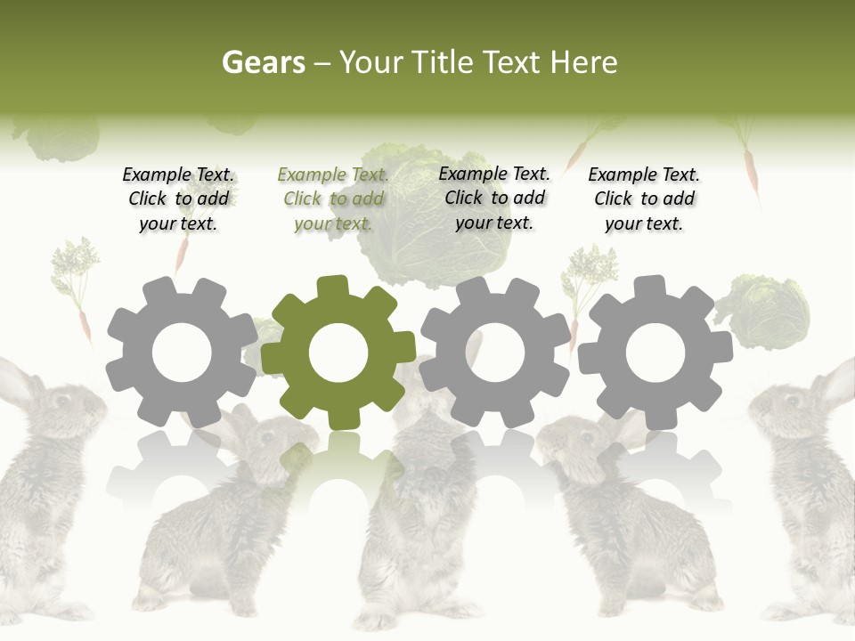 Rabbit PowerPoint Template