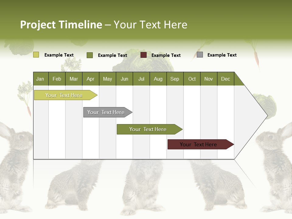 Rabbit PowerPoint Template