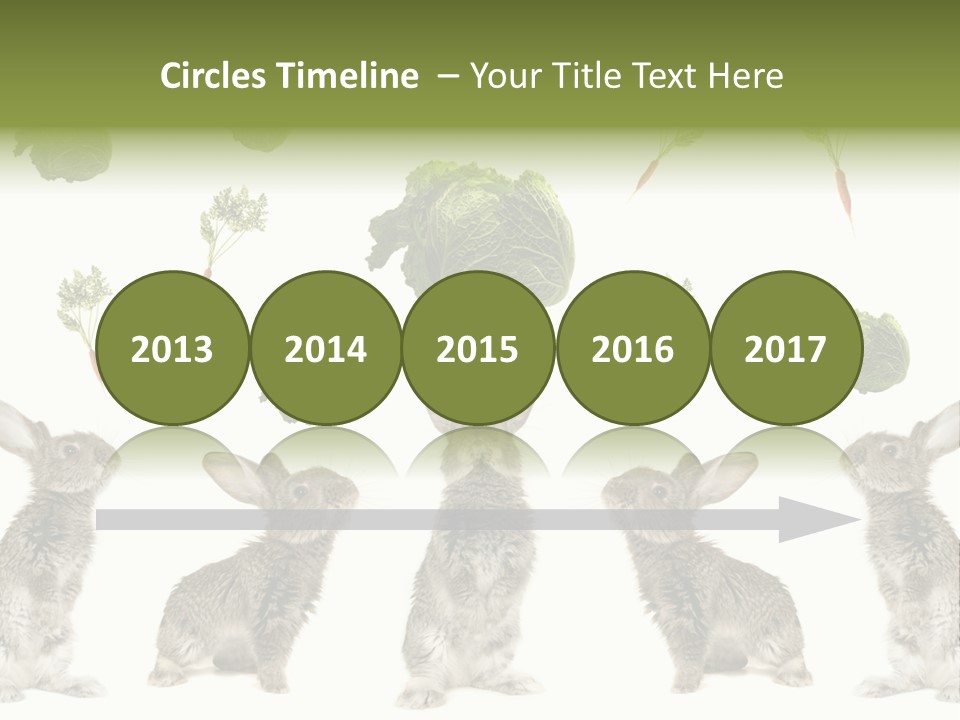 Rabbit PowerPoint Template