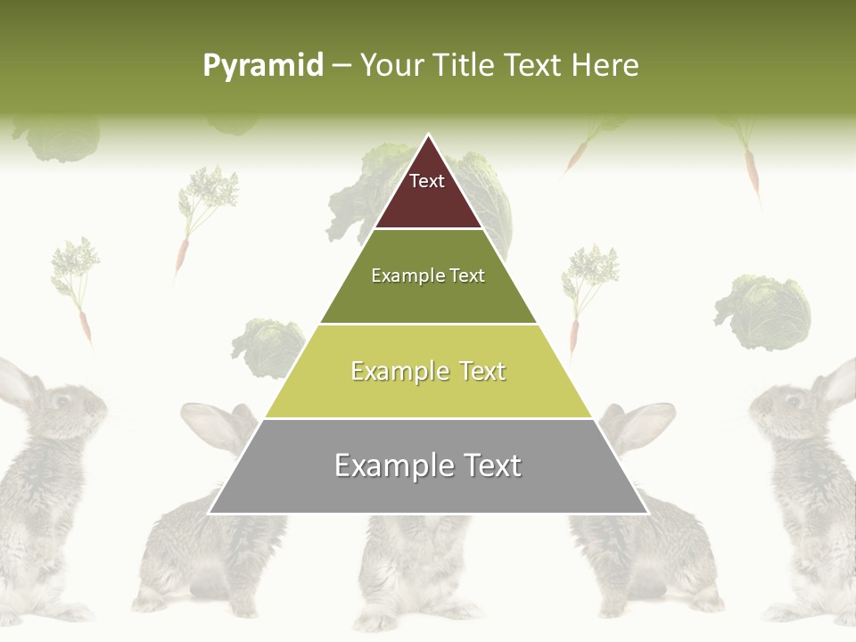 Rabbit PowerPoint Template