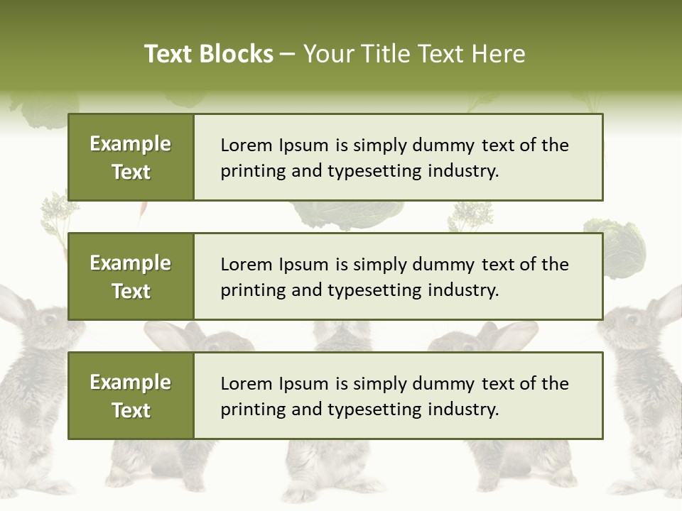 Rabbit PowerPoint Template