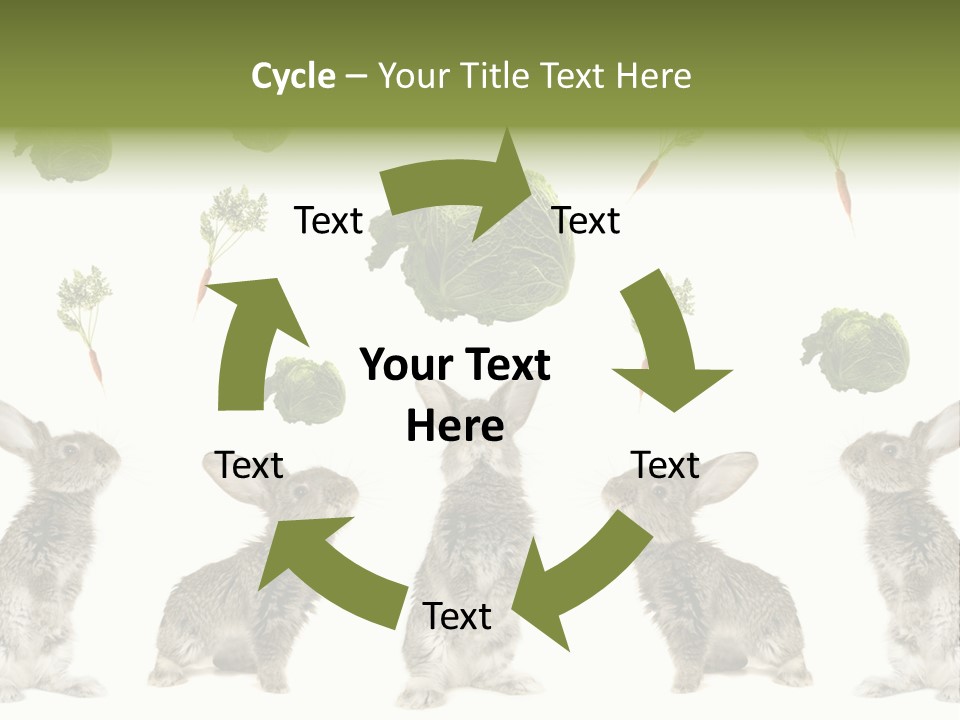 Rabbit PowerPoint Template