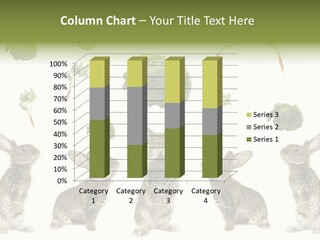 Rabbit PowerPoint Template