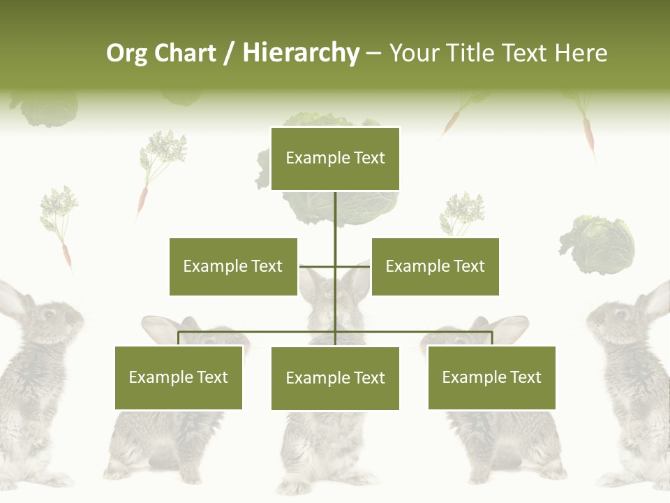 Rabbit PowerPoint Template