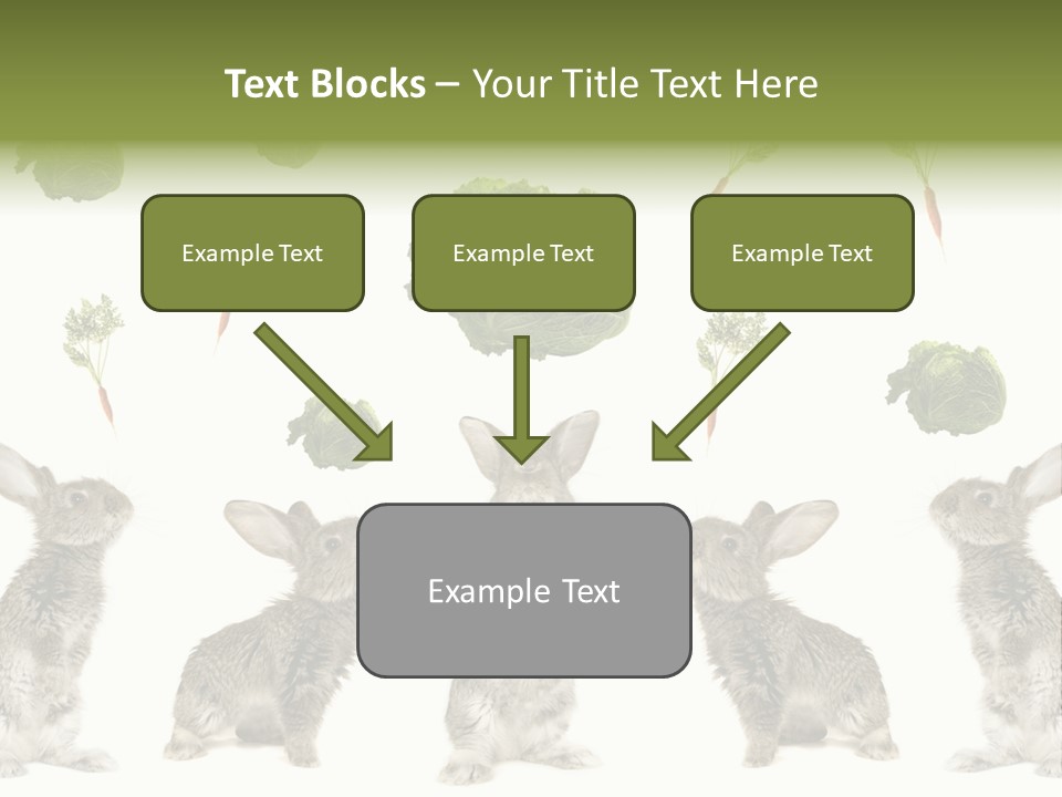 Rabbit PowerPoint Template