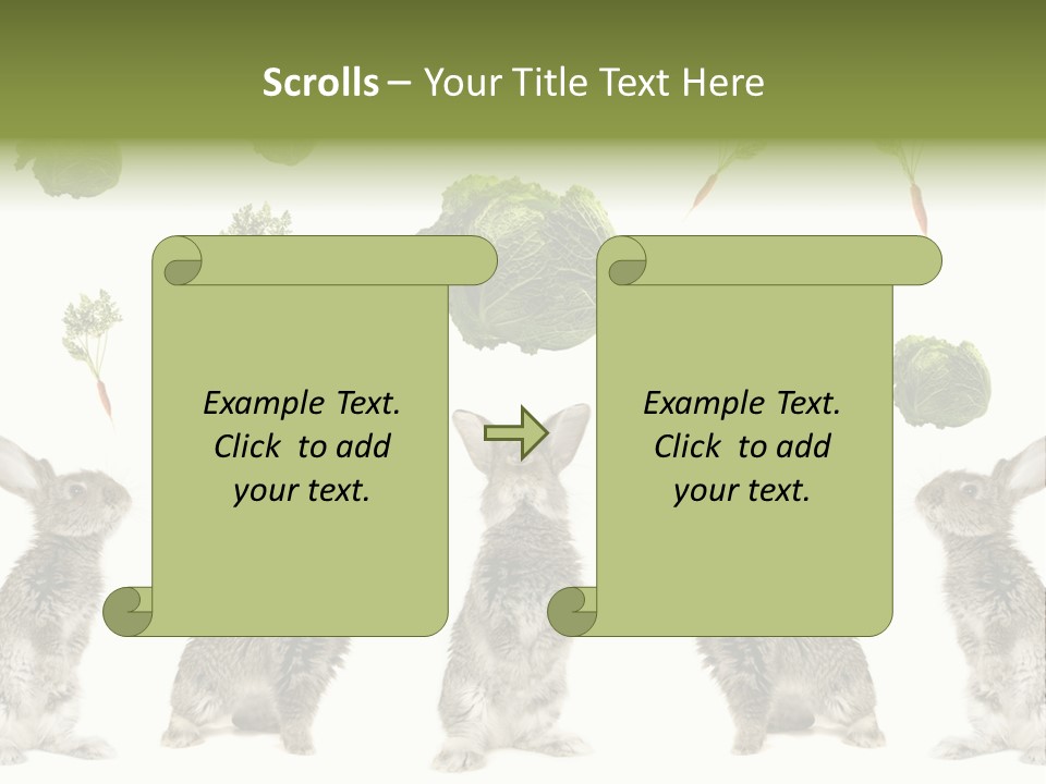 Rabbit PowerPoint Template