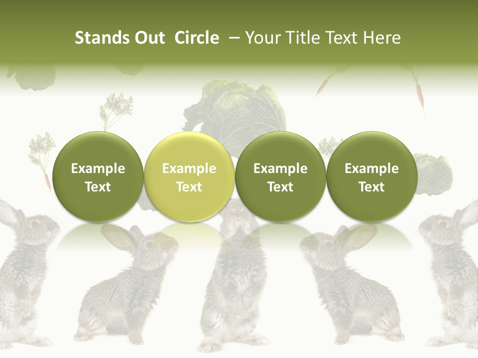 Rabbit PowerPoint Template