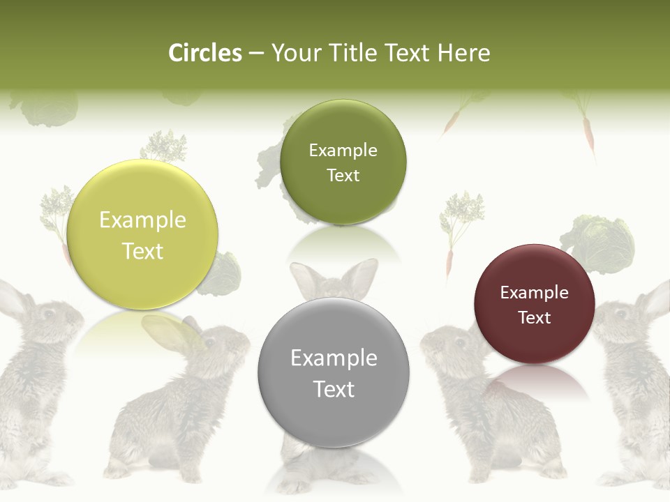 Rabbit PowerPoint Template