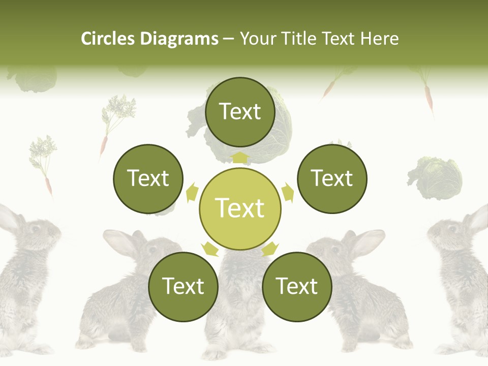 Rabbit PowerPoint Template