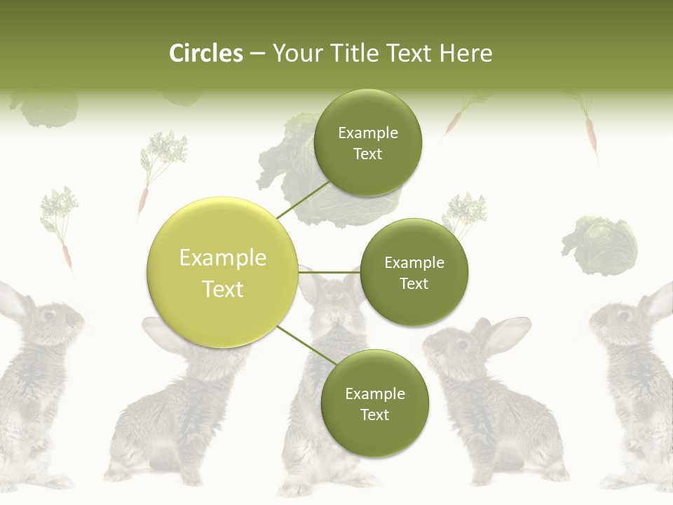 Rabbit PowerPoint Template