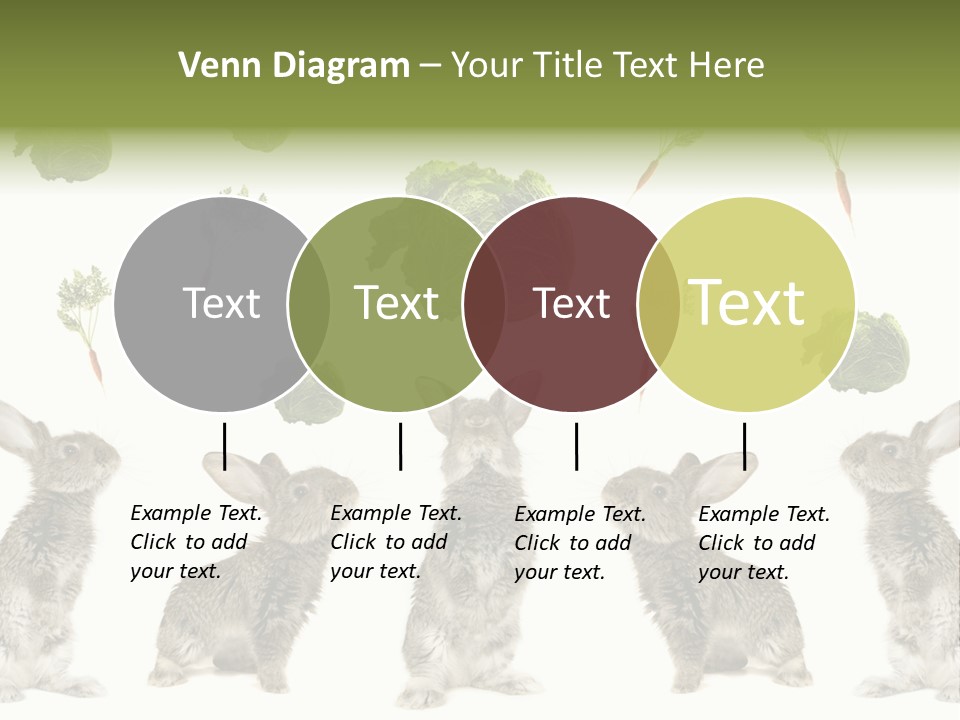 Rabbit PowerPoint Template