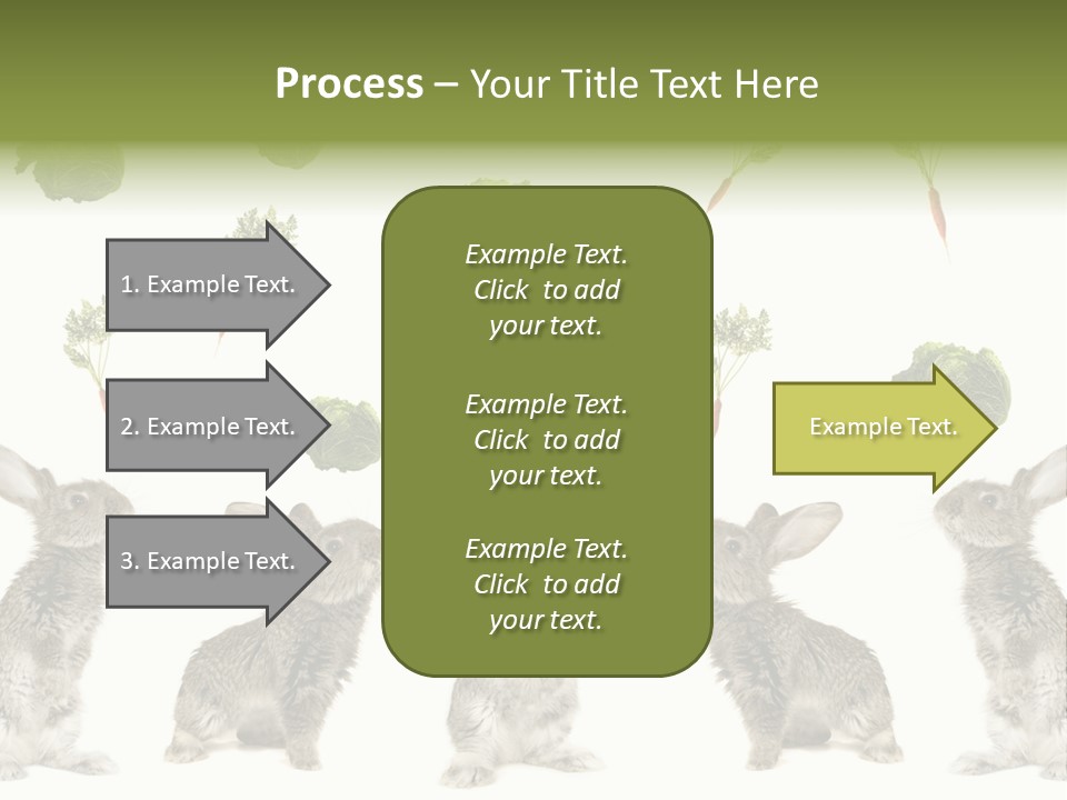 Rabbit PowerPoint Template