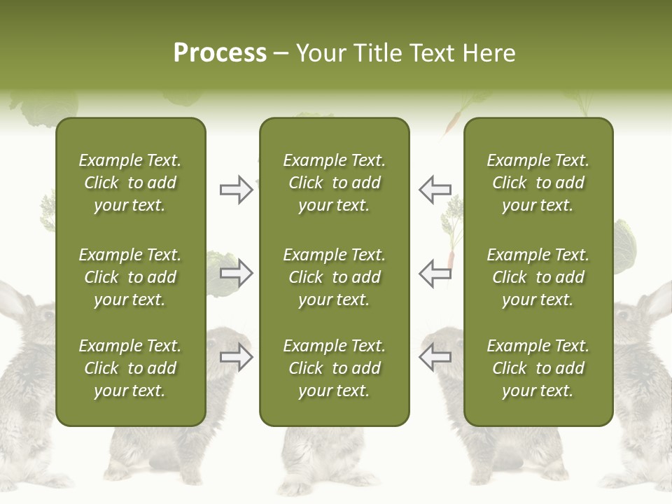 Rabbit PowerPoint Template
